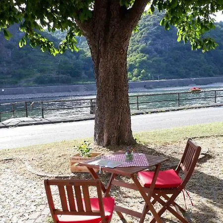 / Scheid Pensión 3*